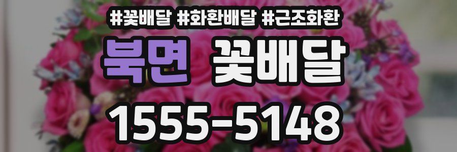 북면 꽃배달