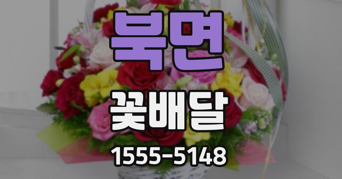 북면 꽃배달