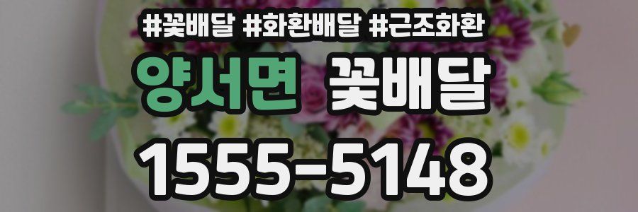 양서면 꽃배달