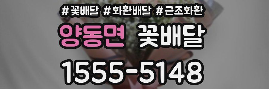 양동면 꽃배달