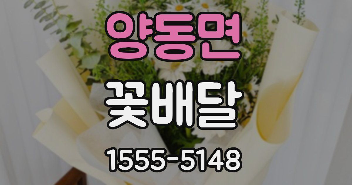 양동면 꽃배달