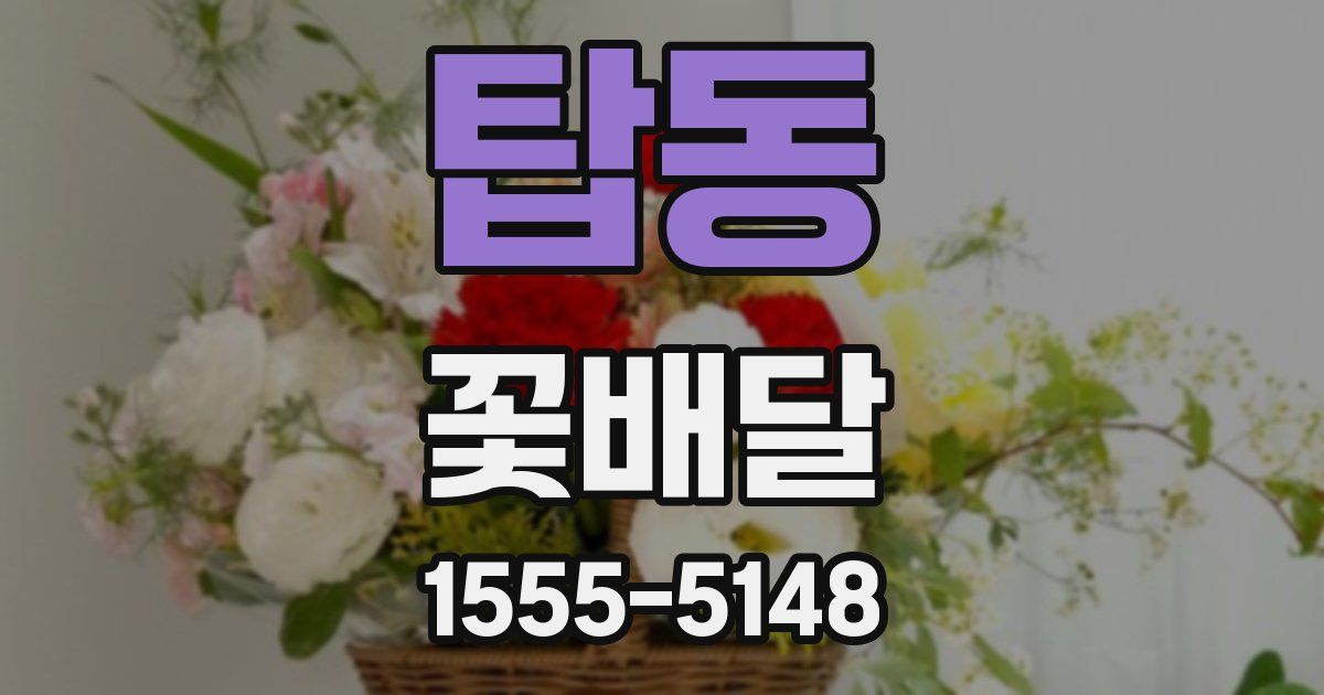 탑동 꽃배달