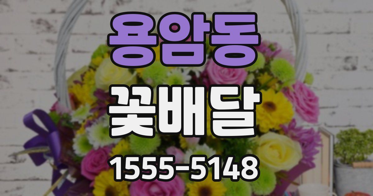 용암동 꽃배달
