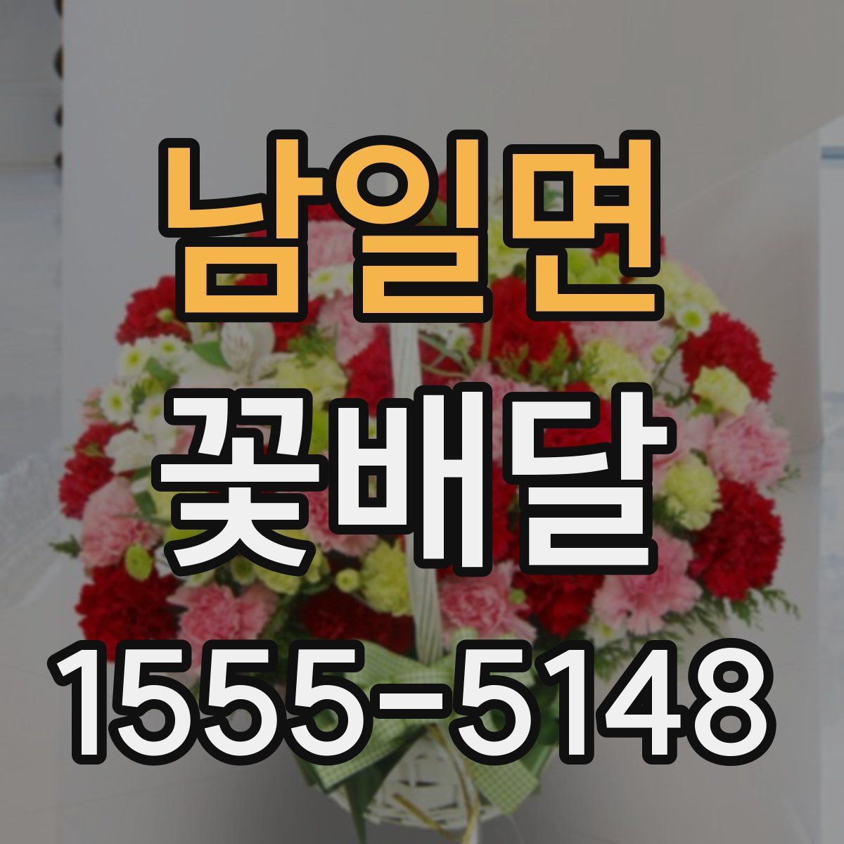 남일면 꽃배달