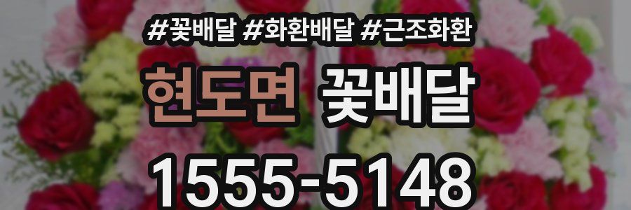 현도면 꽃배달