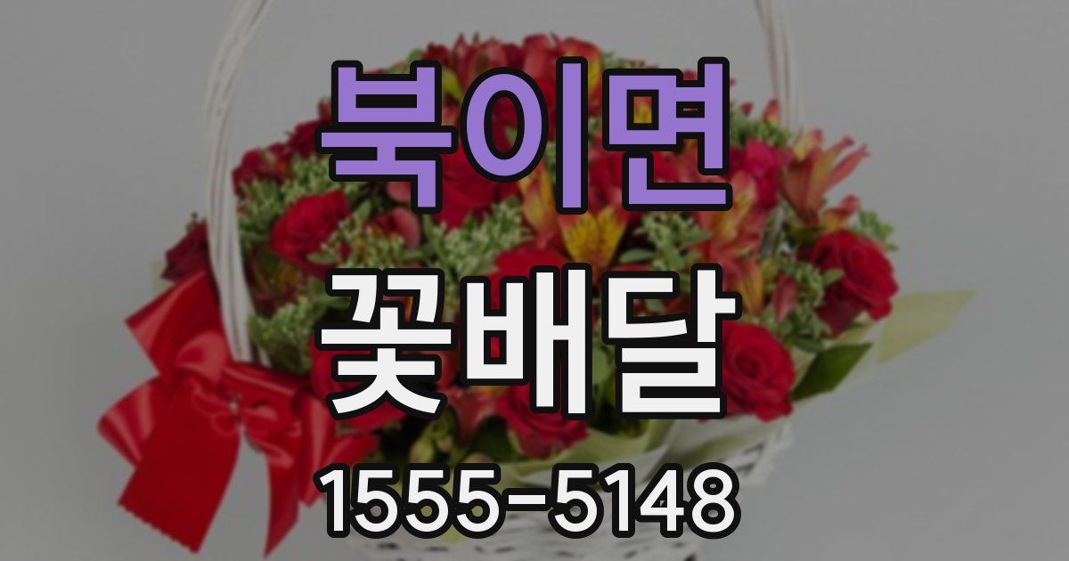 북이면 꽃배달