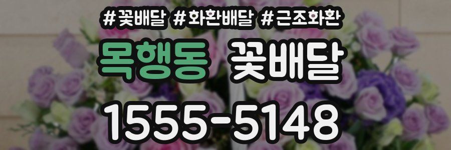 목행동 꽃배달