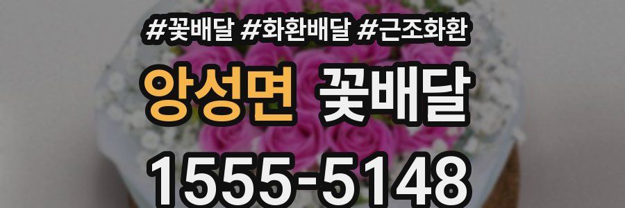 앙성면 꽃배달