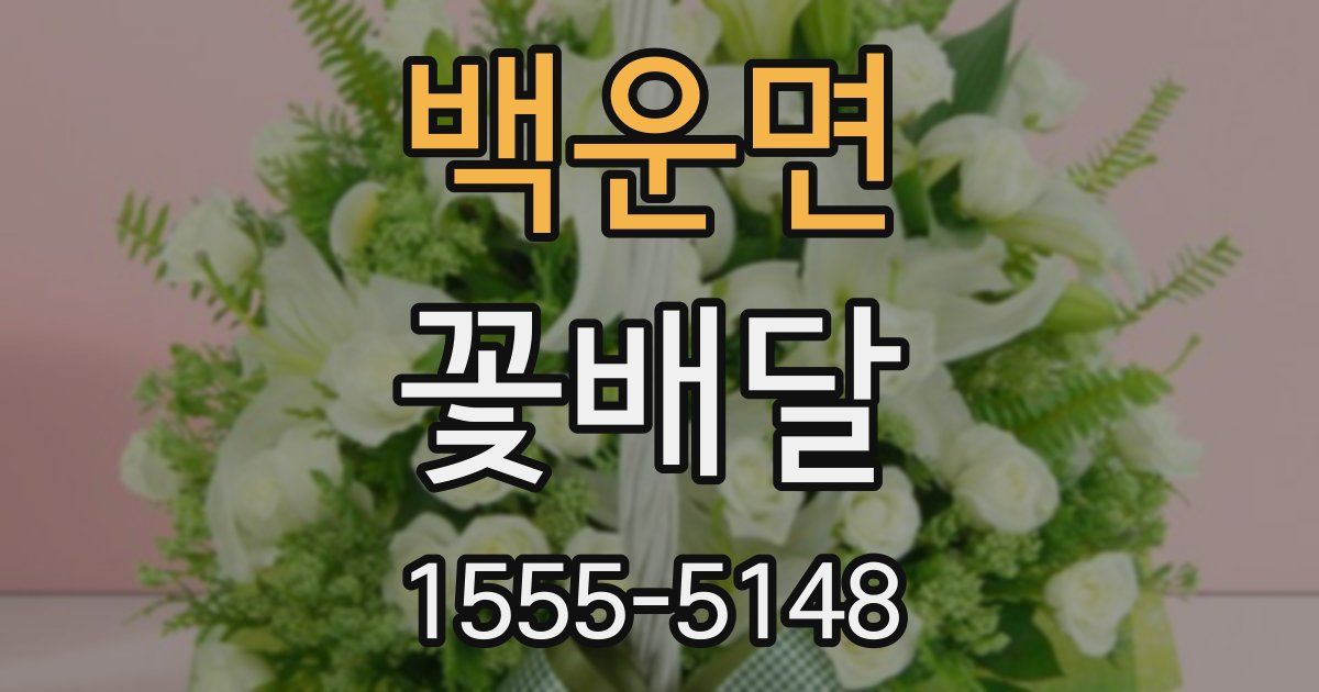 백운면 꽃배달