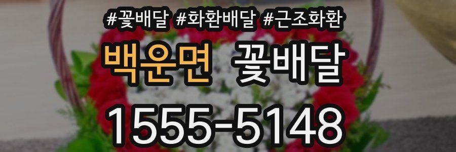 백운면 꽃배달
