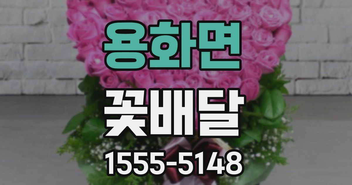 용화면 꽃배달