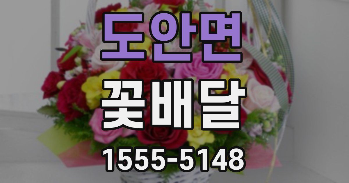 도안면 꽃배달