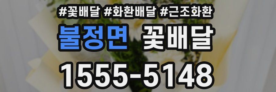 불정면 꽃배달