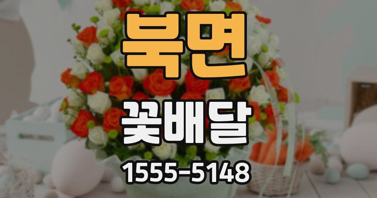 북면 꽃배달