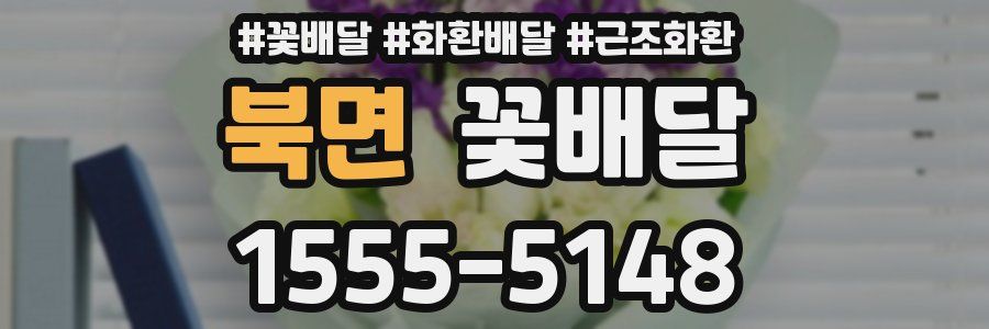 북면 꽃배달