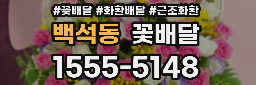 백석동 꽃배달