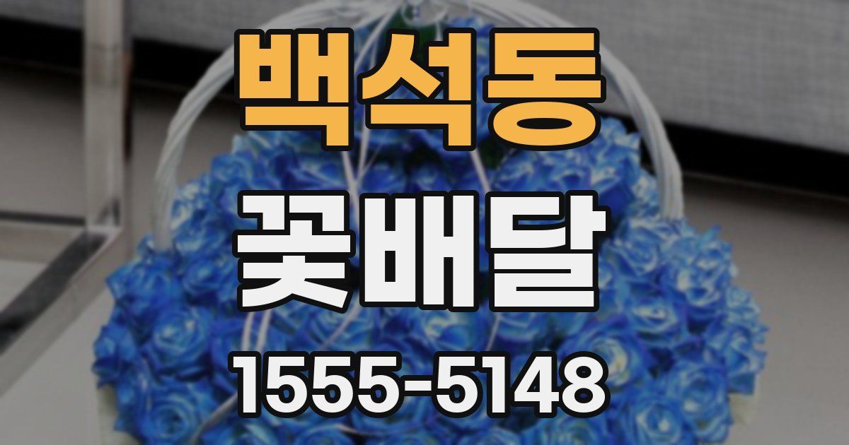 백석동 꽃배달