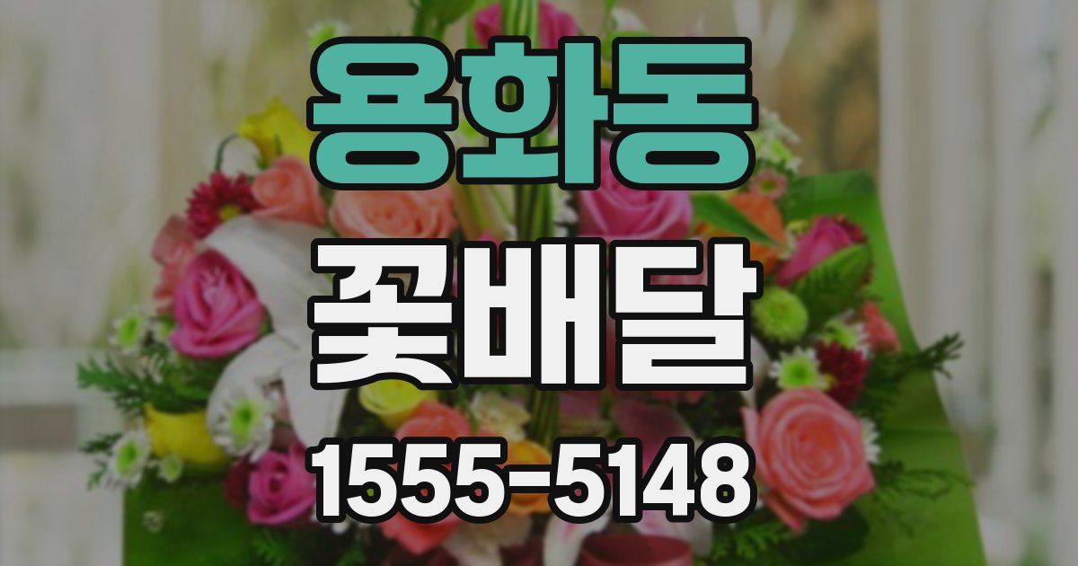 용화동 꽃배달