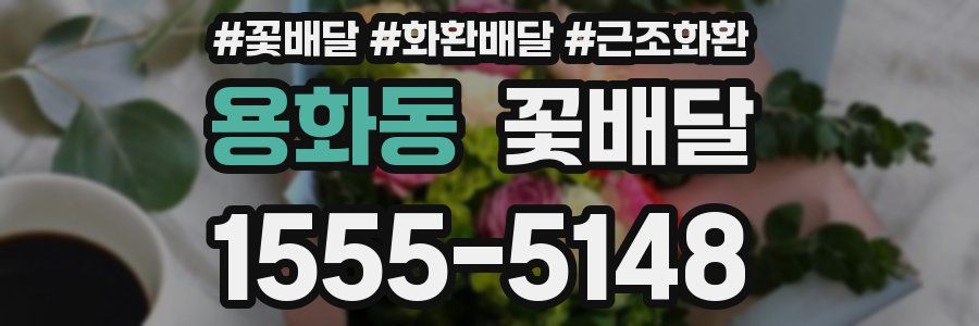 용화동 꽃배달