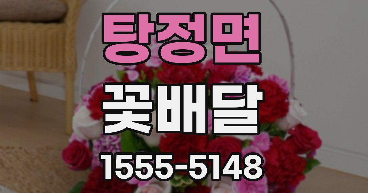 탕정면 꽃배달
