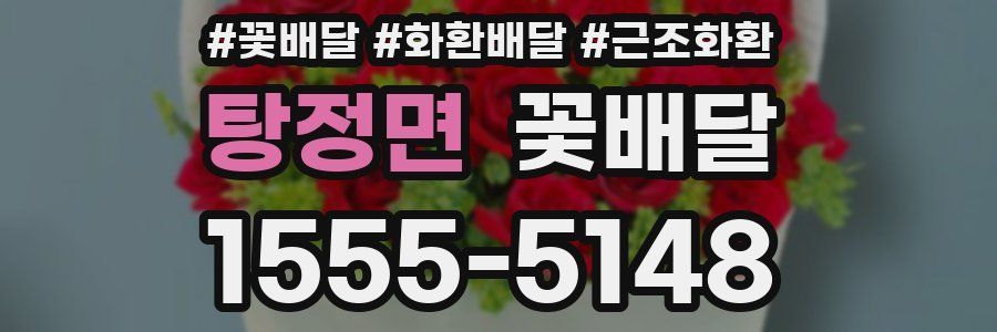 탕정면 꽃배달