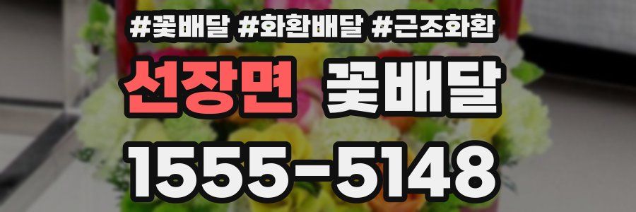 선장면 꽃배달
