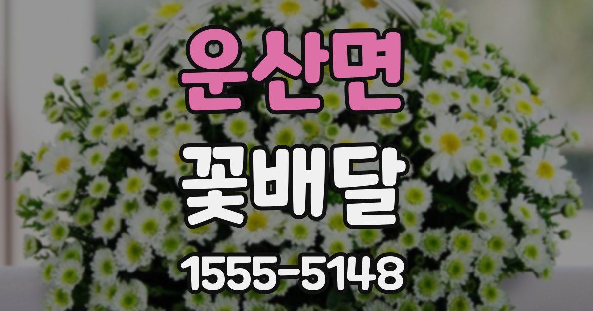 운산면 꽃배달
