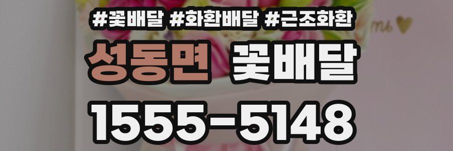 성동면 꽃배달