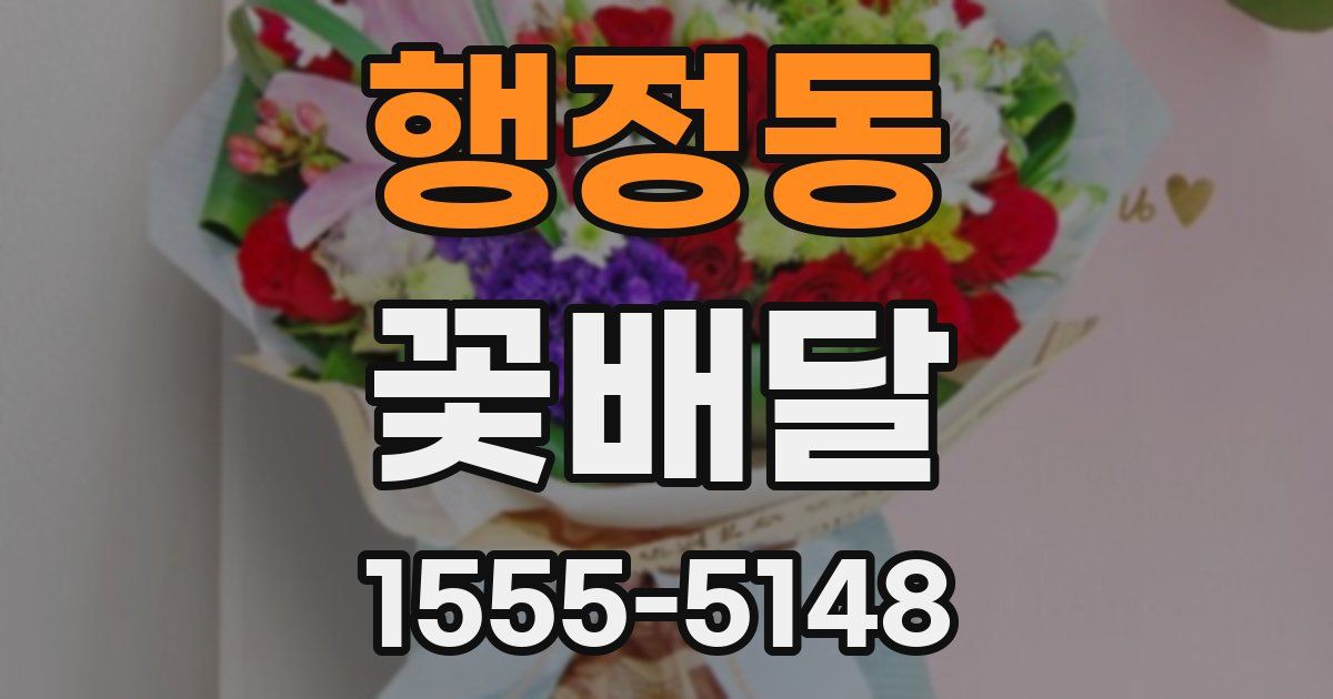 행정동 꽃배달