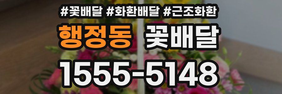 행정동 꽃배달