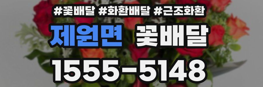 제원면 꽃배달