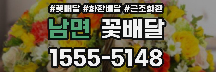 남면 꽃배달
