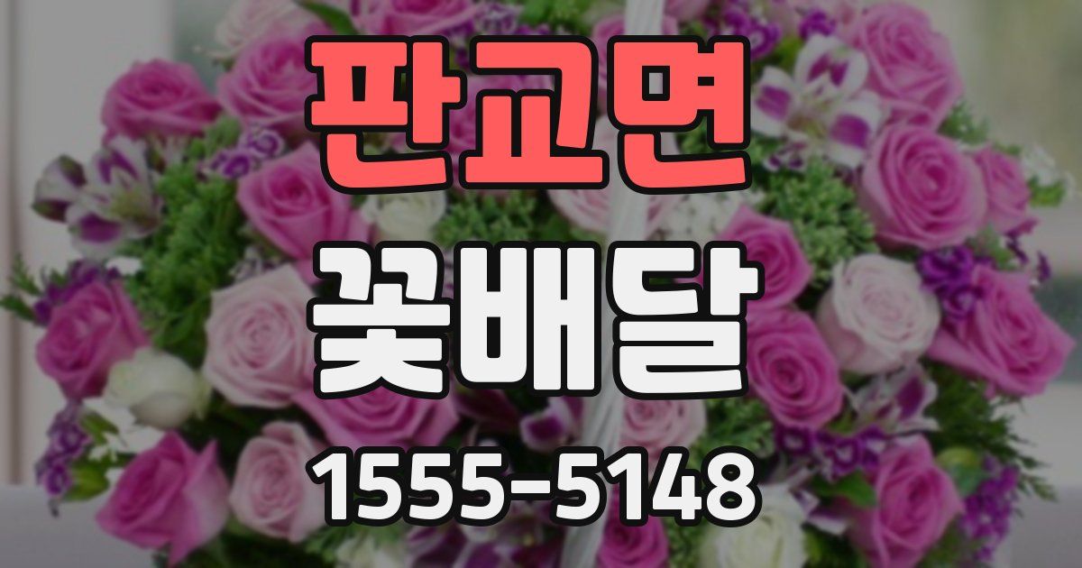 판교면 꽃배달