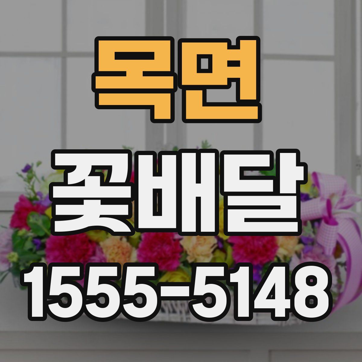 목면 꽃배달
