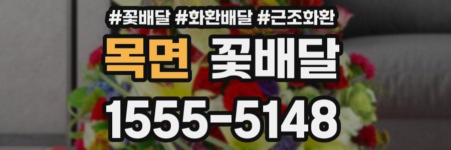 목면 꽃배달