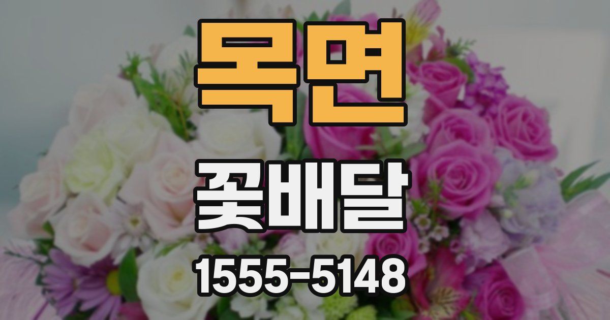 목면 꽃배달