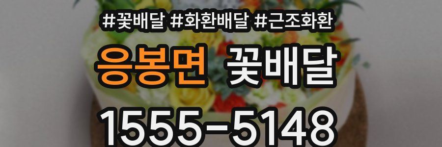 응봉면 꽃배달