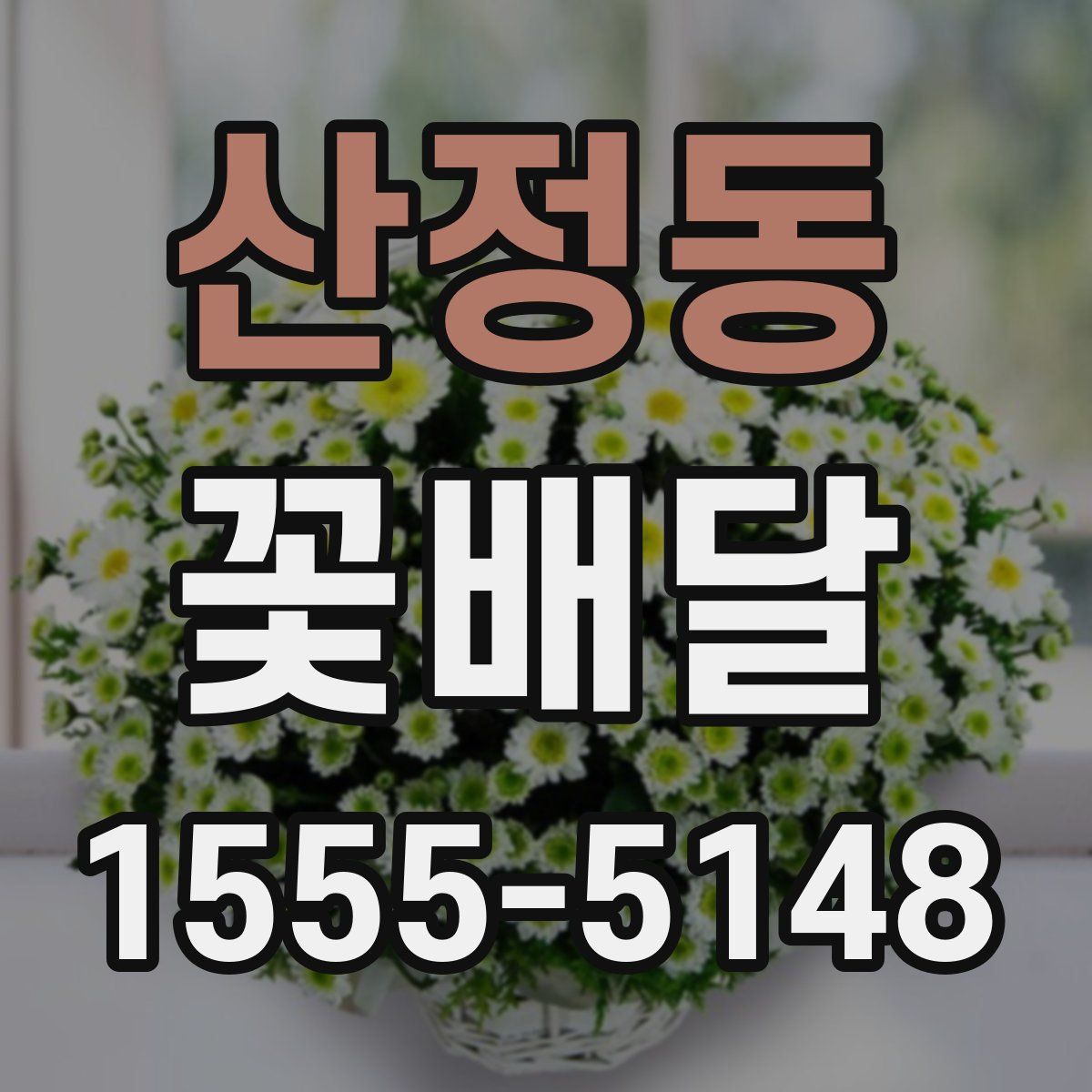 산정동 꽃배달