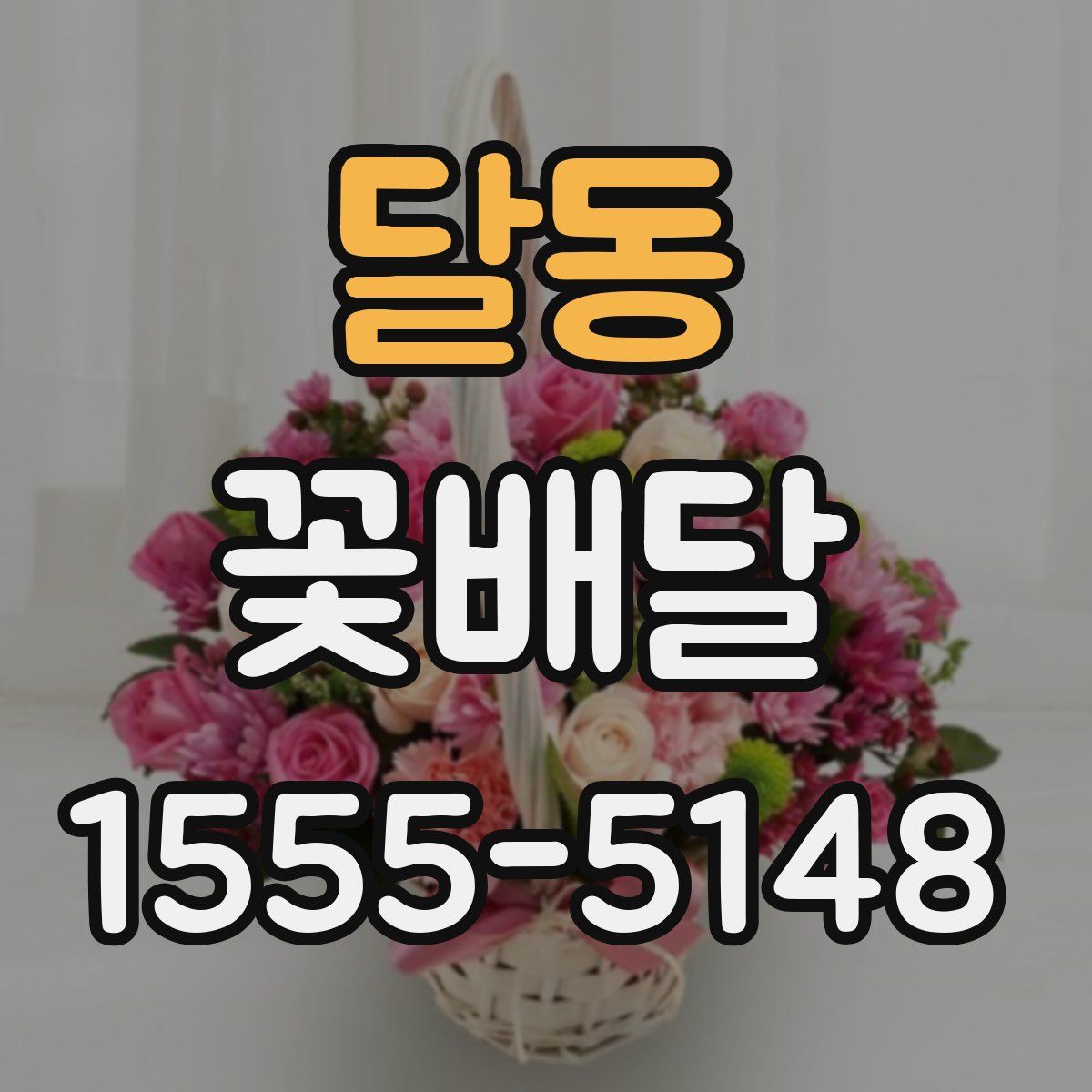 달동 꽃배달