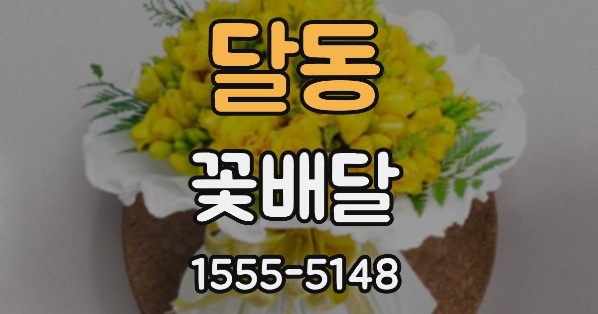 달동 꽃배달