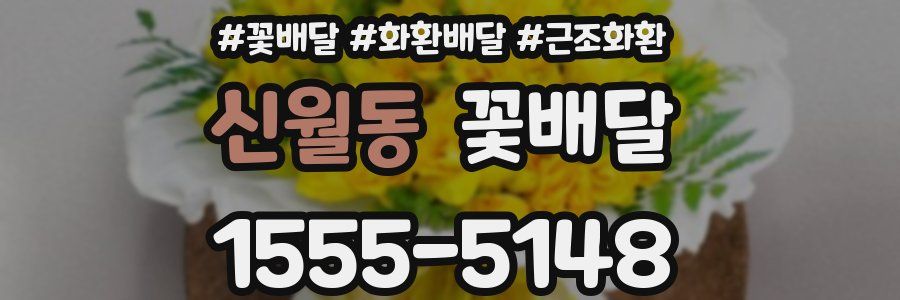 신월동 꽃배달