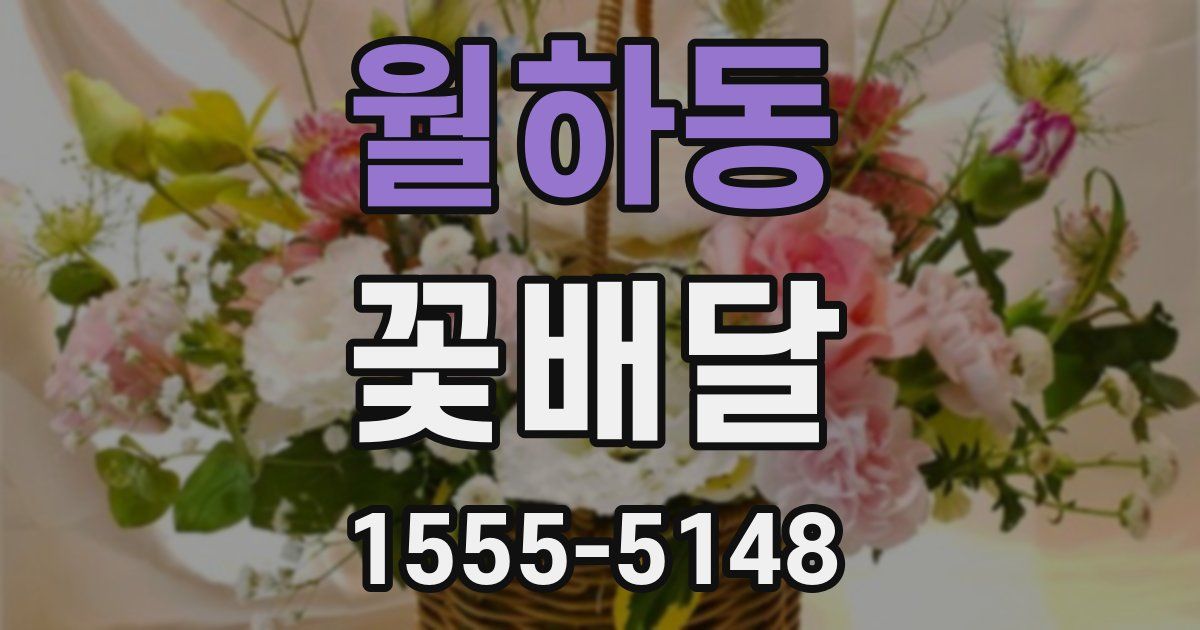 월하동 꽃배달