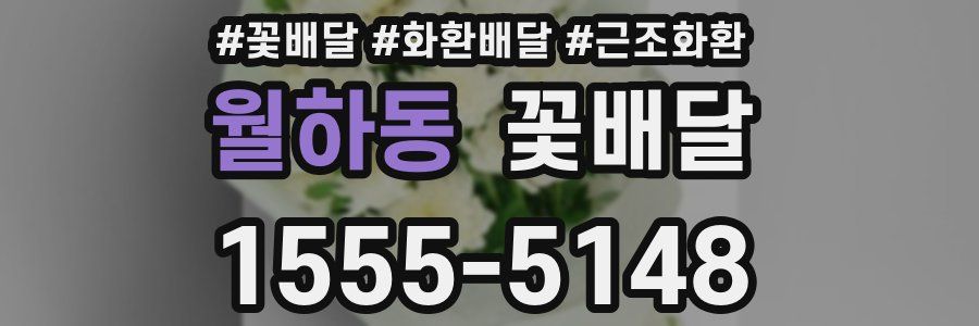 월하동 꽃배달