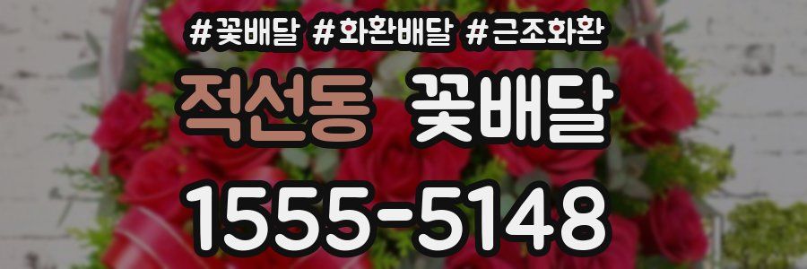 적선동 꽃배달