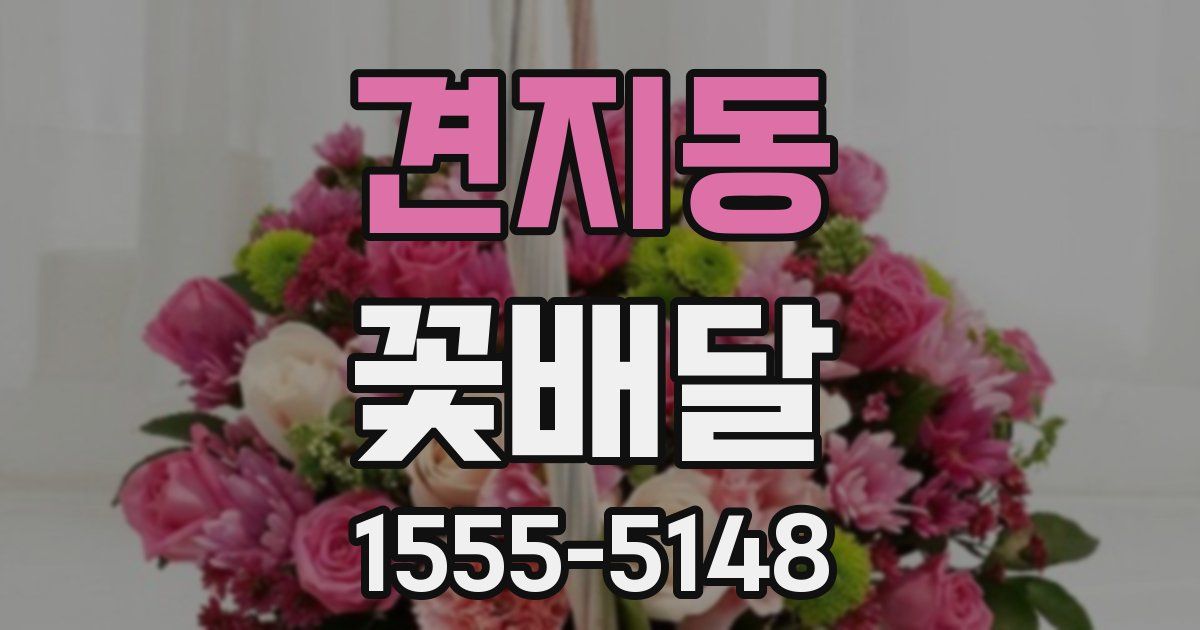 견지동 꽃배달
