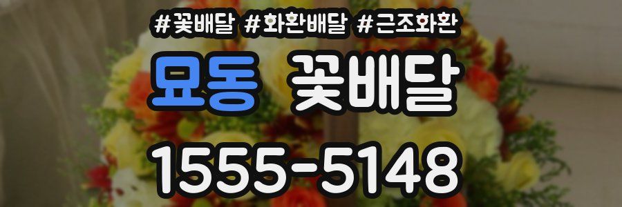 묘동 꽃배달