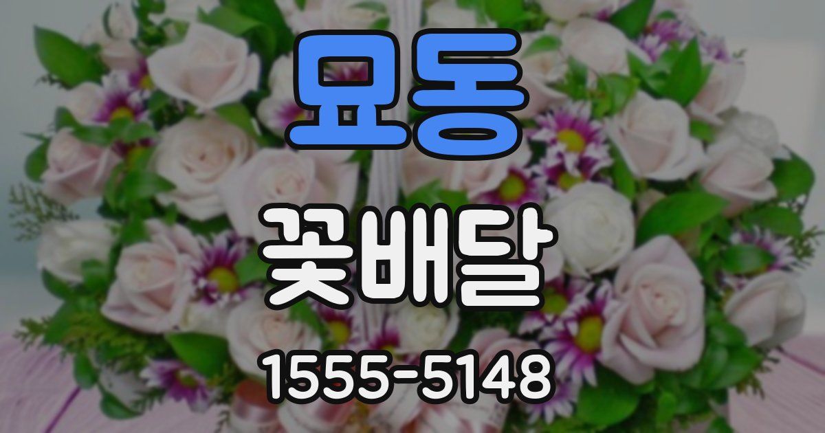 묘동 꽃배달