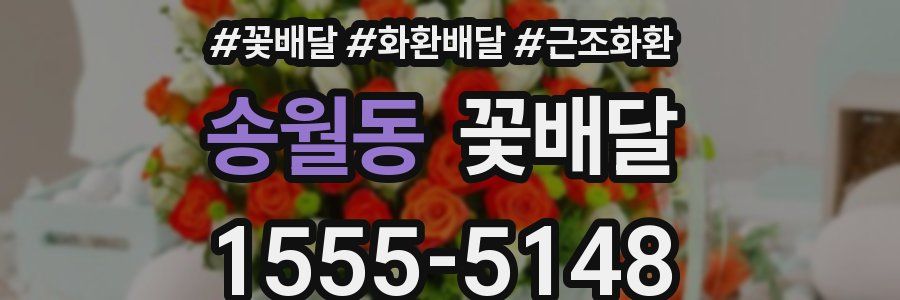 송월동 꽃배달