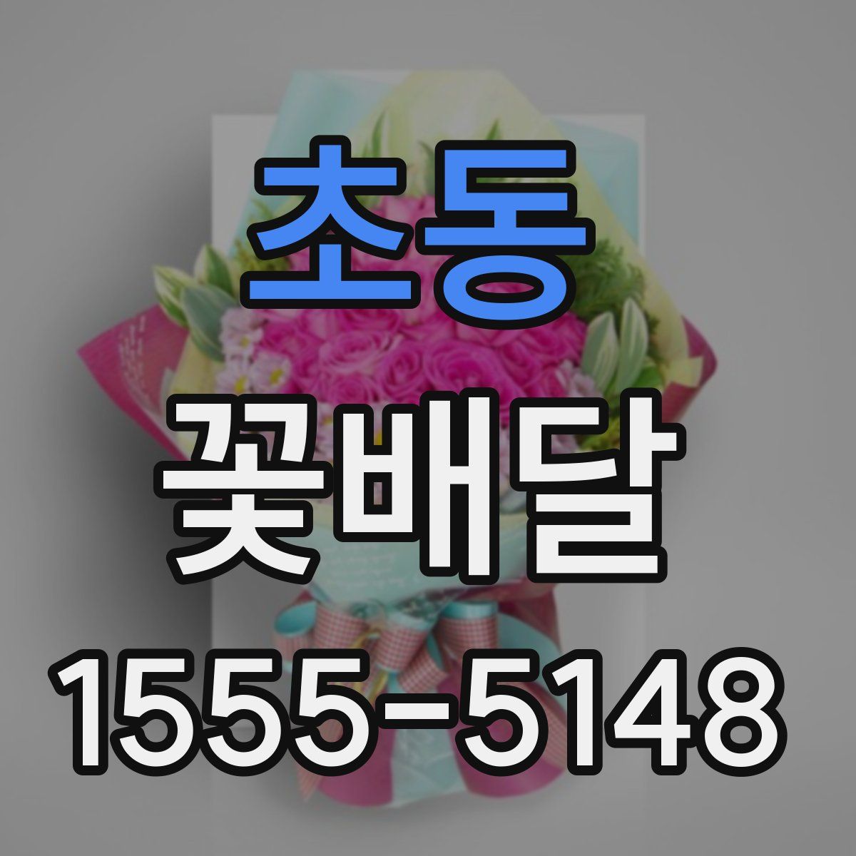 초동 꽃배달