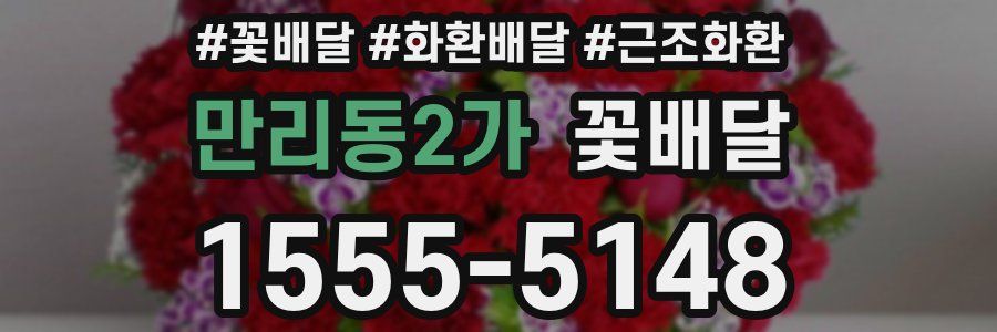 만리동2가 꽃배달